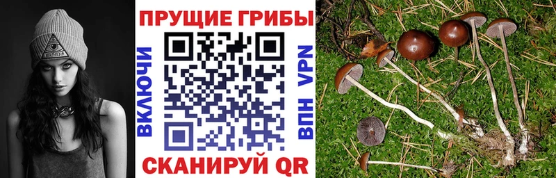 Псилоцибиновые грибы ЛСД  Тарко-Сале 